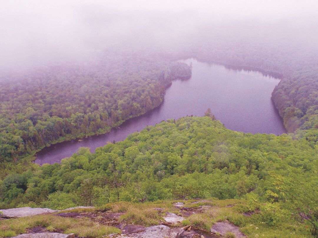 6-5-2021-Parsons- Wachipauka Pond